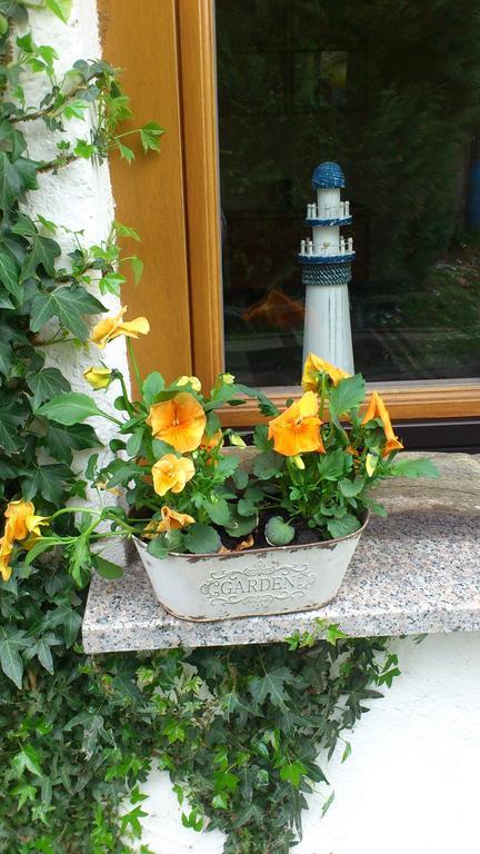 Ferienhaeuser Boerge ザスニッツ 部屋 写真