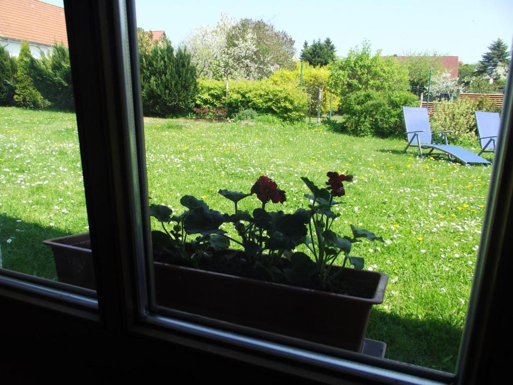 Ferienhaeuser Boerge ザスニッツ 部屋 写真