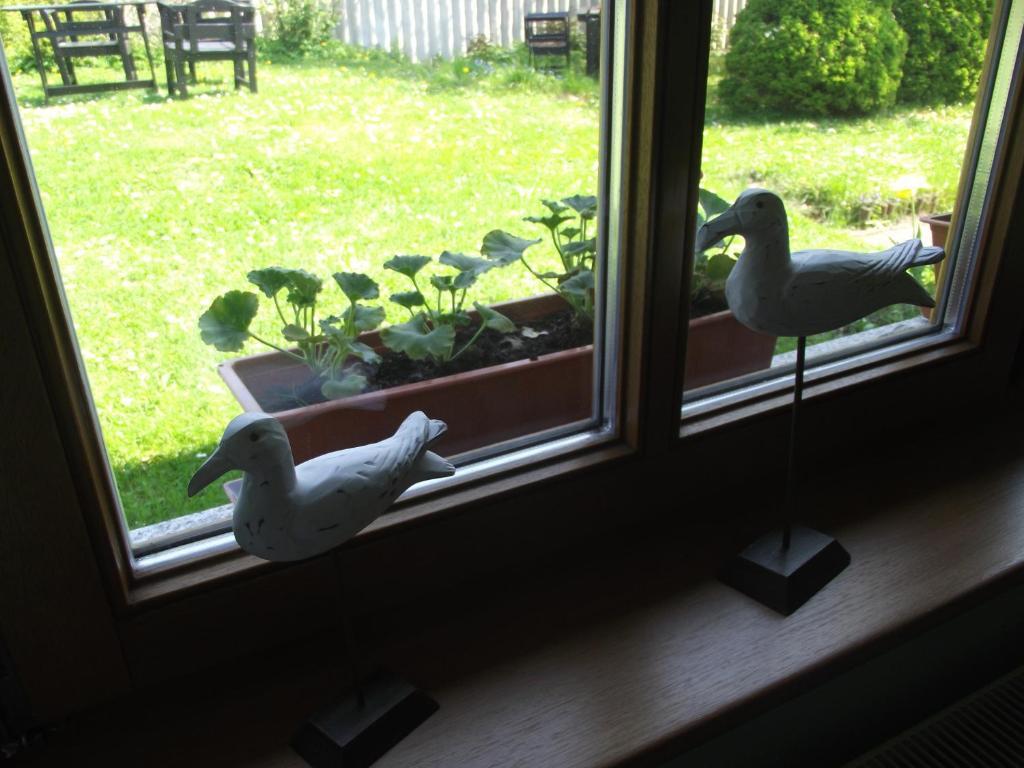 Ferienhaeuser Boerge ザスニッツ 部屋 写真