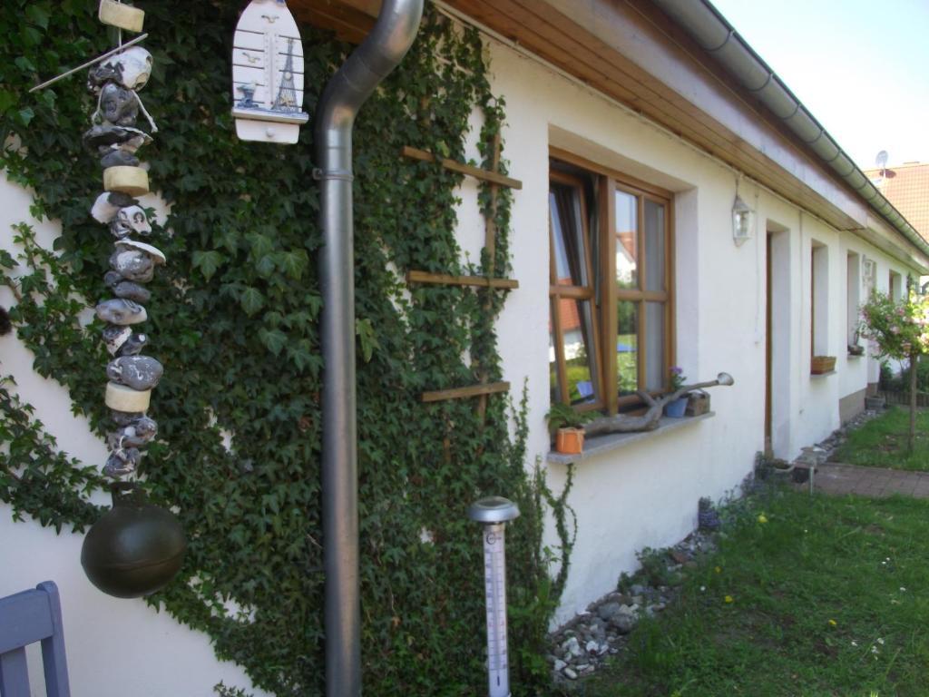 Ferienhaeuser Boerge ザスニッツ 部屋 写真